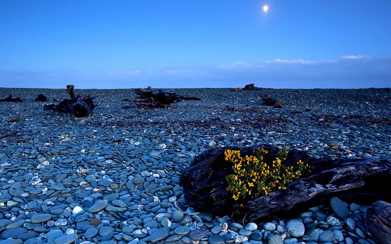 BEACH at NIGHT, beach, moonlight, pebbles, ocean, HD wallpaper