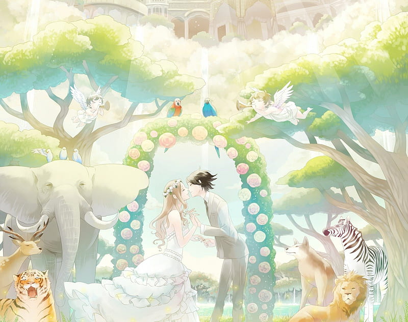 Enchanted Wedding, pretty, tiger, wing, sweet, nice, fantasy, groom, love, anime, feather, handsome, beauty, anime girl, wings, lovely, romance, gown, elephant, amour, lion, cute, wolf, dress, divine, guy, woods, bride, parrot, bonito, sublime, elegant, deer, zebra, wed, couple, gorgeous, animals, bride and groom, forest, female, male, romantic, angel, peace, wedding, kawaii, boy, girl, bird, cupid, flower, magical, HD wallpaper