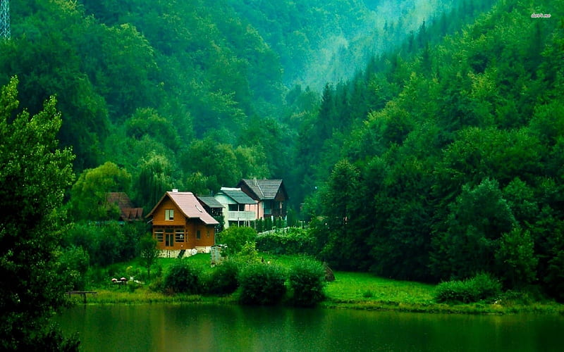cabins on the lakeside transylvania, tree, cabin, grass, lake, HD wallpaper