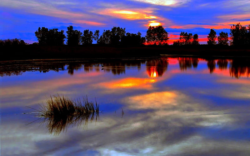 TWILIGHT SCENE, red, the evening, quiet, sunset, twilight, trees, sky ...