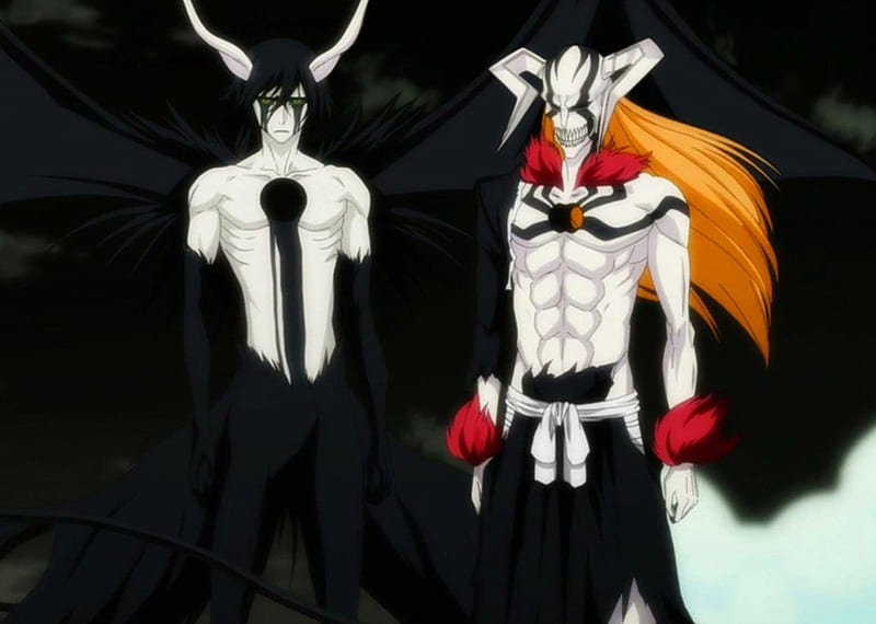 Vasto Lorde Ichigo, vasto lorde, horns, ichigo kurosaki, anime, full hollow  ichigo, HD wallpaper
