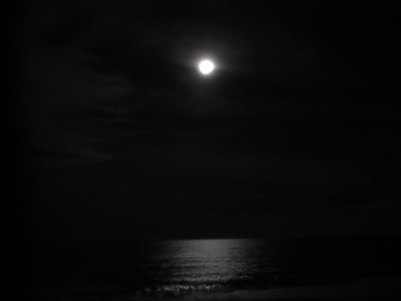 Full Moon on the Beach of NC, beach, gothic, full moon, dark, ocean, night, HD wallpaper