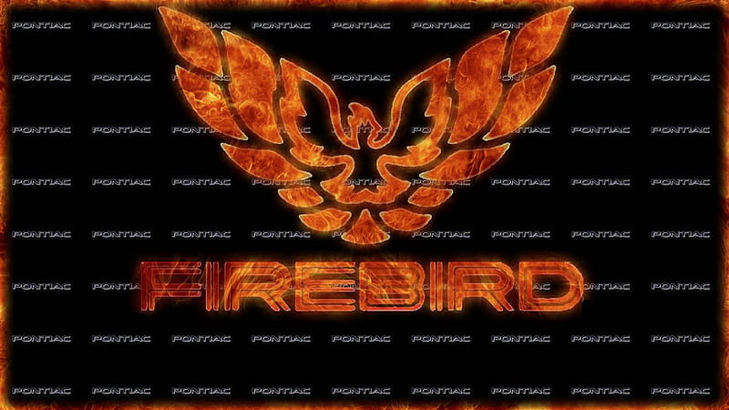 On fire bird, carros, fire, automobiles, trans am, firebird, HD wallpaper