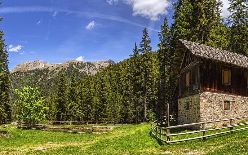 Italy, Alps, summer, mountains, hut, forest, HD wallpaper