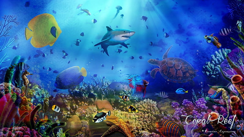 C.E. Coral Reef 1, underwater, art, reef, fish, ocean, coral, nature, sea, HD wallpaper