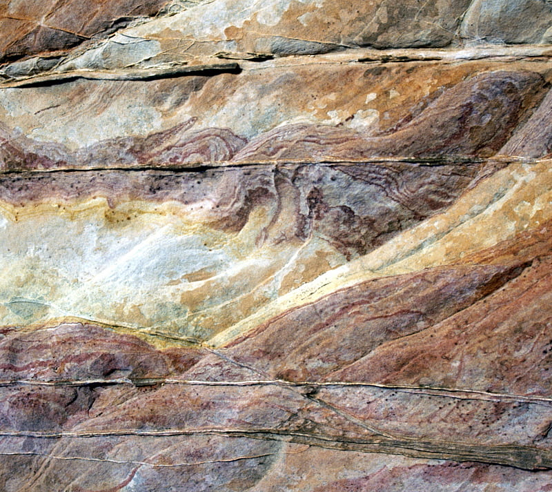 Fossils, abstract, HD wallpaper