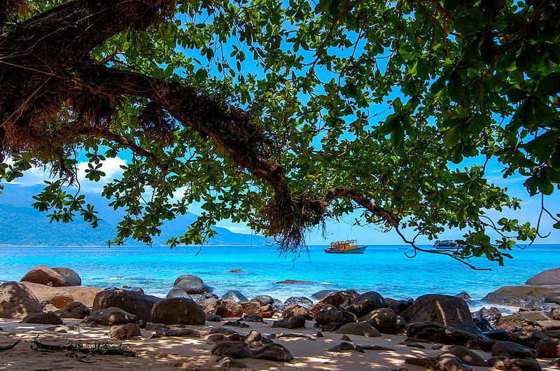 Under The Tree On A Tropical Beach, shade, blue ocean, bonito, trees, beach, boats, sand, Borneo, island, tropical, HD wallpaper
