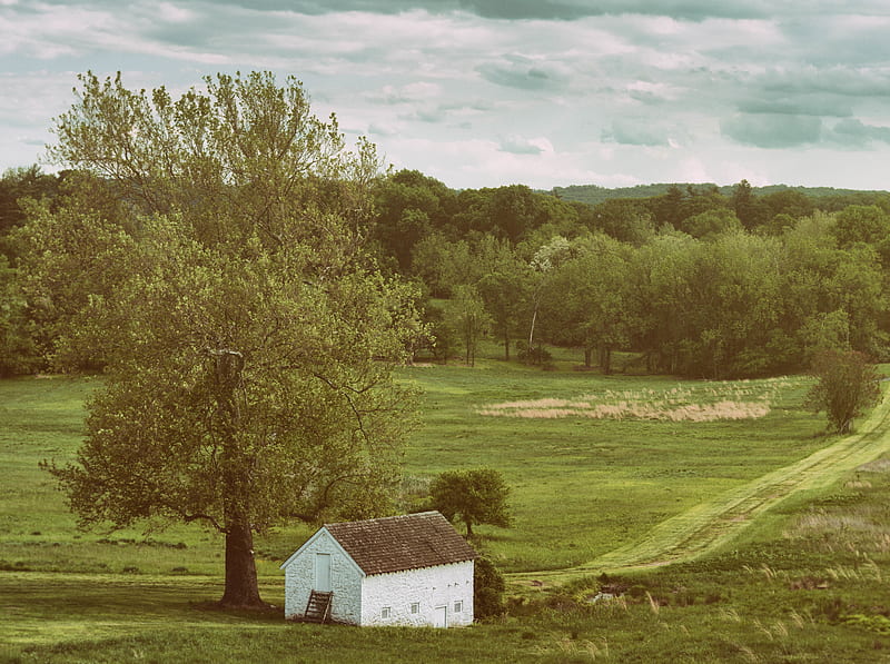 que Landscape Ultra, Seasons, Spring, Nature, Landscape, Scenery, Tree, Home, Valley, Colonial, que, Nikon D800, Valley Forge, Revolutionary War, Nikkor 70-200mm, HD wallpaper