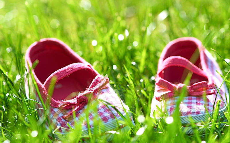 lovely, green, grass, summer, meadow, shoes, HD wallpaper