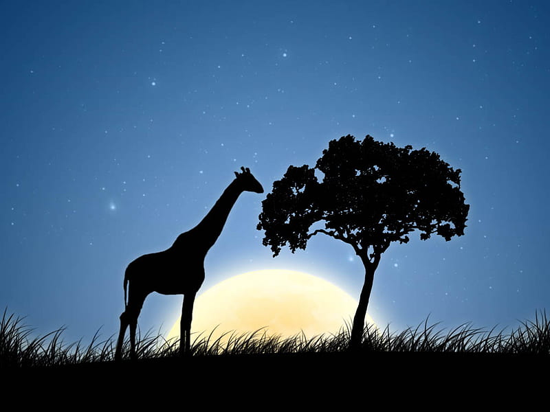 Giraffe at night, moon, silhouette, giraffe, abstract, animal, night, HD wallpaper