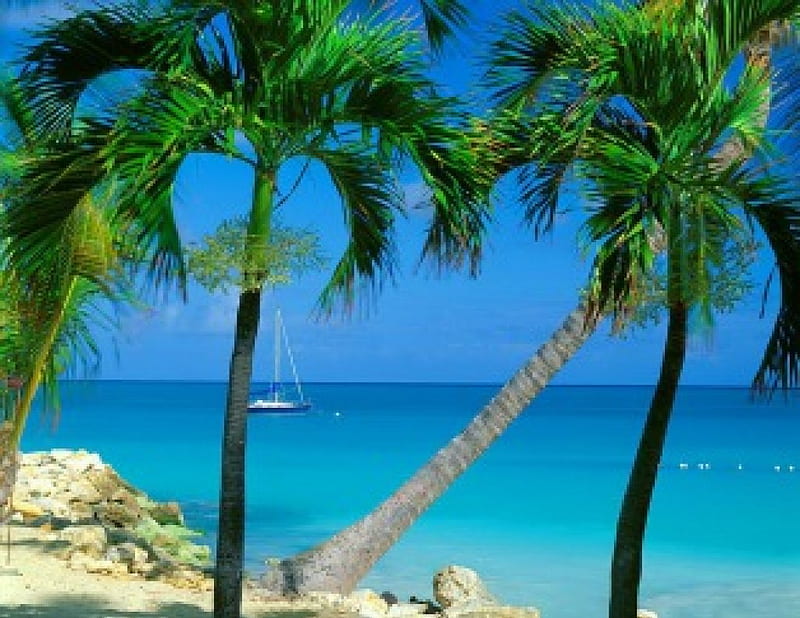 Summer in Antigua, pretty, shore, travel, sailing, bonito, palm trees, beach, nice, boat, blue, vacation, exotic, lovely, trees, palms, summer, island, antigua, HD wallpaper