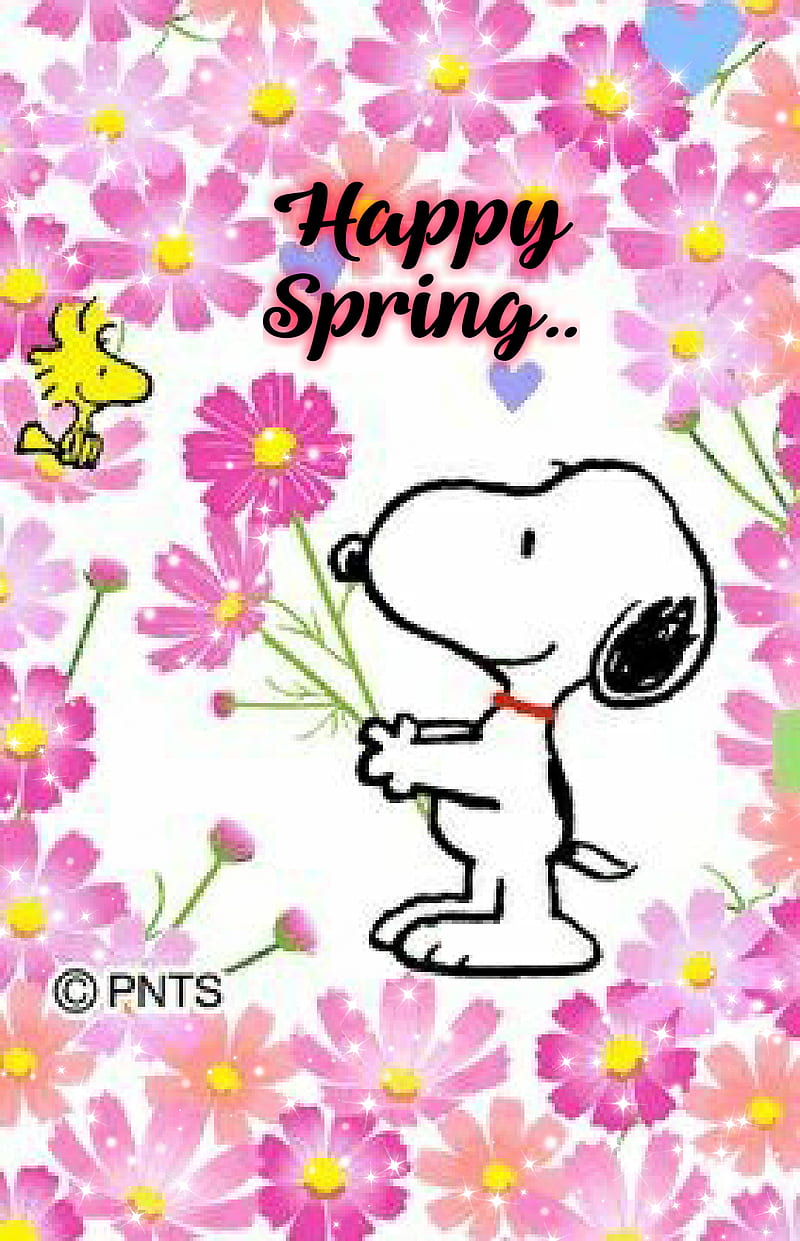 Snoopy Sprin Happy Pink Sparkle Spring Woodstock Hd Phone Wallpaper Peakpx