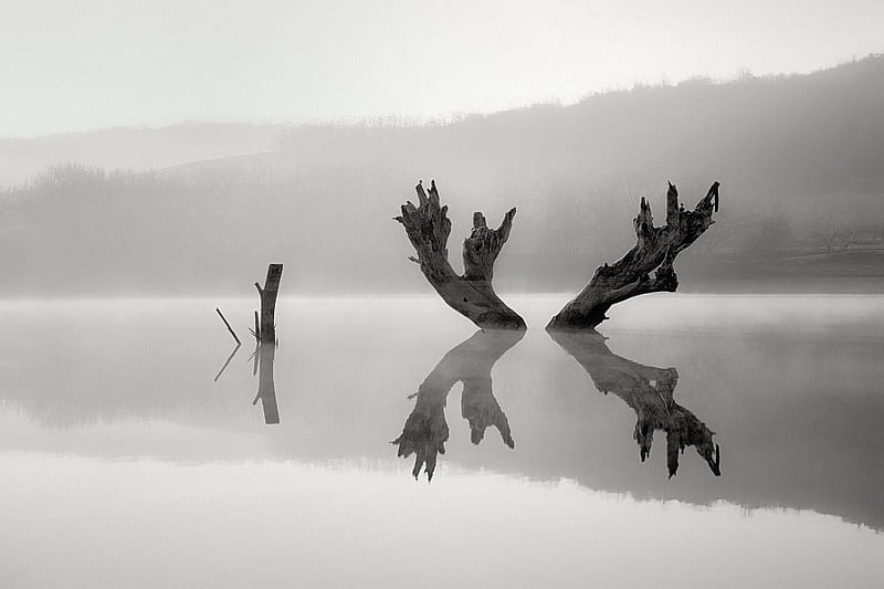 REFLECTION, silent, foggy, bw, naturegraphy, lake, sea, HD wallpaper