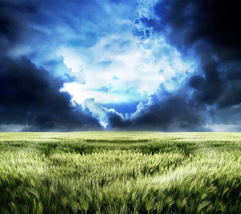 Horizon, blue, clouds, field, green, sky, wind, HD wallpaper