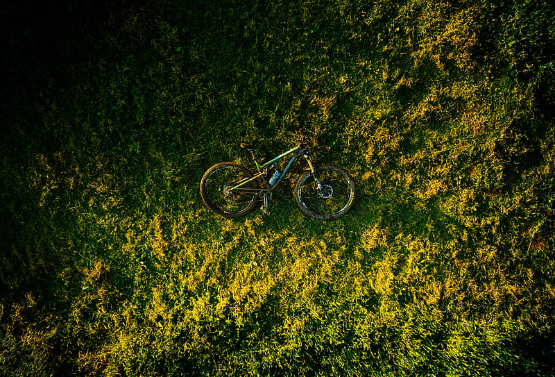bike, grass, aerial view, HD wallpaper