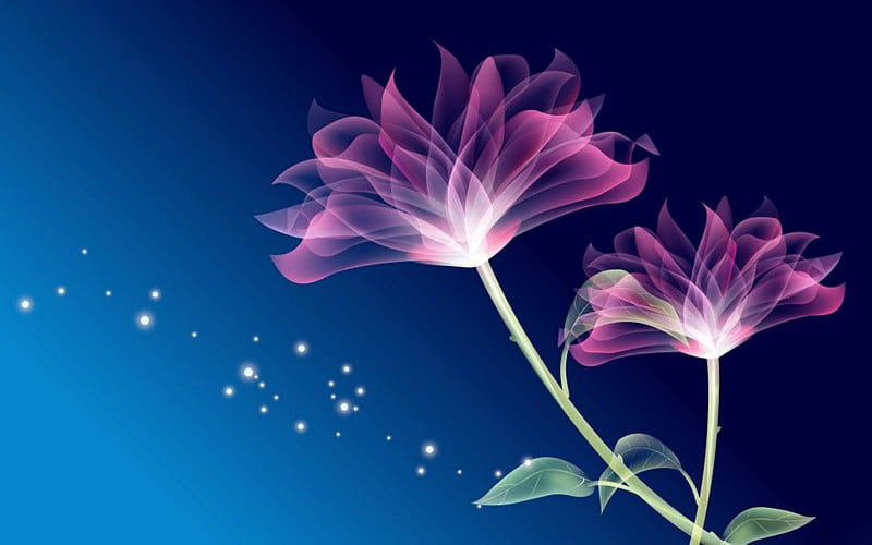 See-through, petals, pink, blue, sparks, flowers, glowing, translucent, transparent, art, HD wallpaper