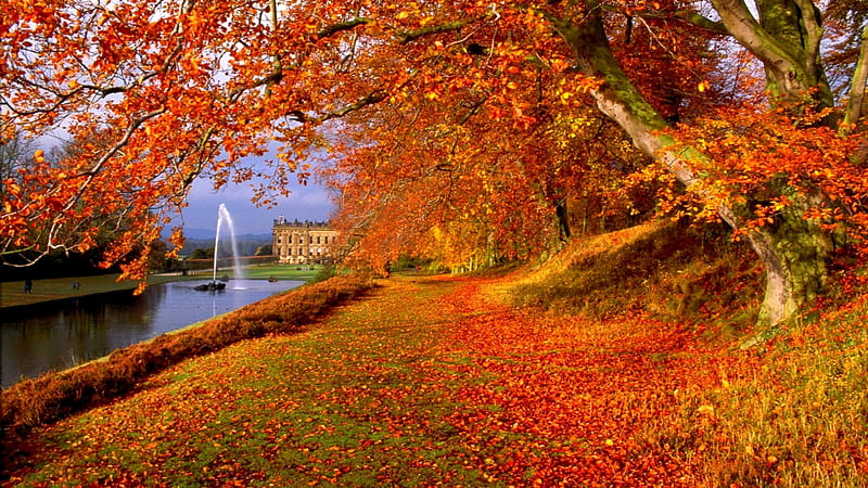 Chatsworth House in The Autumn, fall, leaves, house, fountain, autumn, chatsworth, colour, lake, scene, HD wallpaper