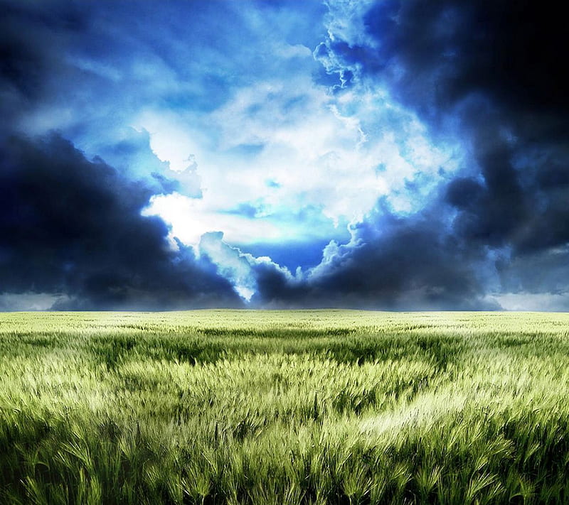 Horizon, blue, clouds, field, green, sky, wind, HD wallpaper