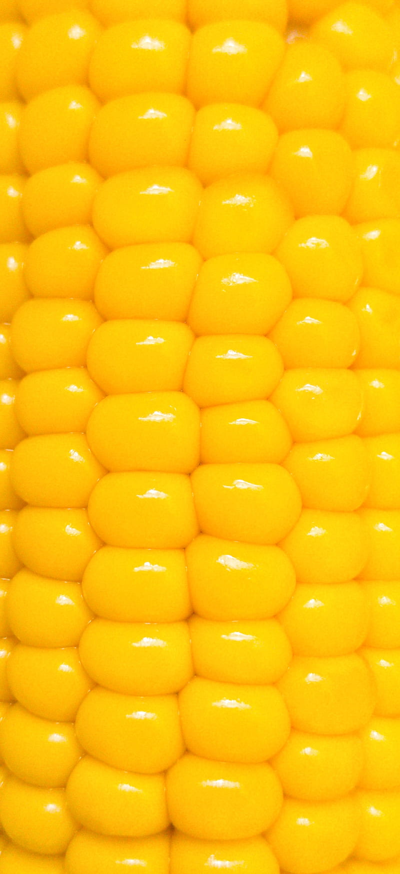Corn, , yellow, bright, fun, food, HD phone wallpaper