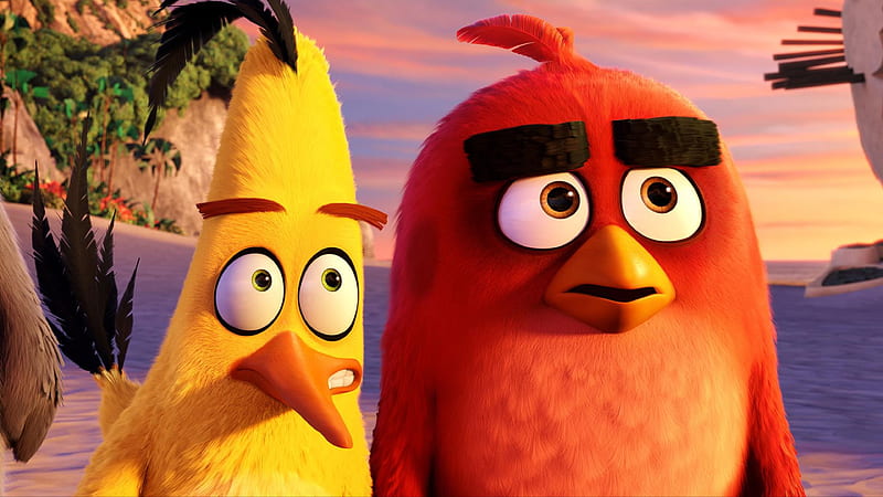 Red And Chuck Angry Birds, angry-birds, birds, movies, animated-movies, 2016-movies, the-angry-birds-movie, HD wallpaper