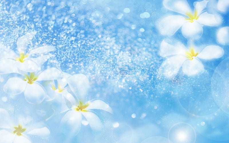 Plumerias, water, glitter, flower, summer, plumeria, white, blue, HD wallpaper