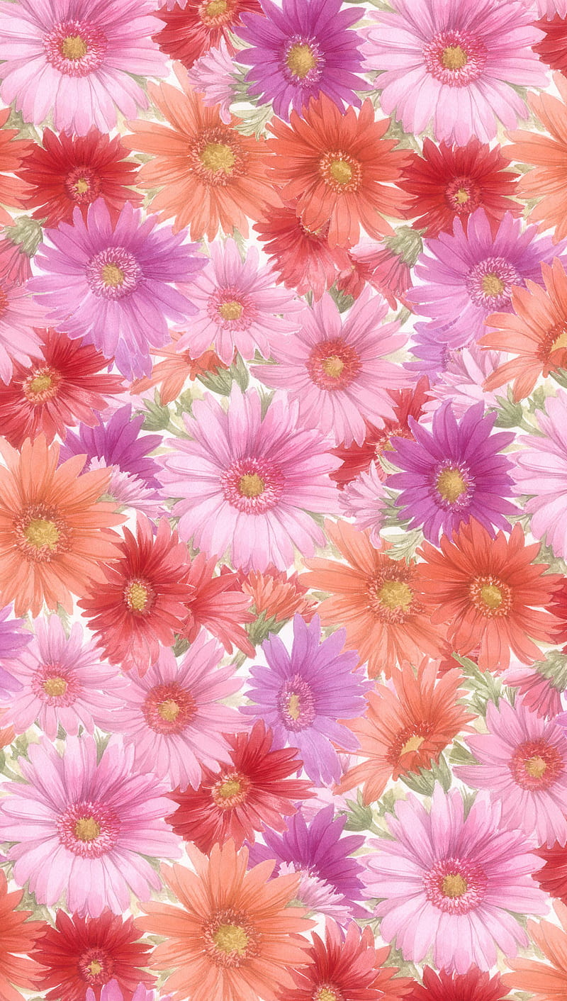 iphone 5 wallpapers flowers