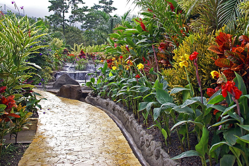 Tropical Garden with Waterfall, ginger, hardy, waterfall, flowers, cannas, exotic, hawaii, lilies, gingers, canna, paradise, plants, flower, lily, gardens, garden, island, tropical, hawaiian, HD wallpaper