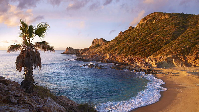 Silent Bay, water, palm, hill, sea, landscape, HD wallpaper