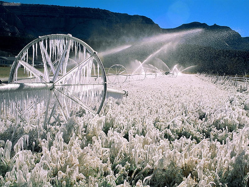 Field of Ice, graphy, snow, mountains, ice, fields, blue, HD wallpaper