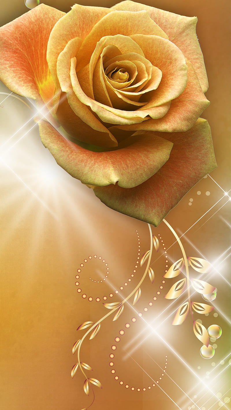 GOLD rOSE, roses nice, bonito, HD phone wallpaper | Peakpx