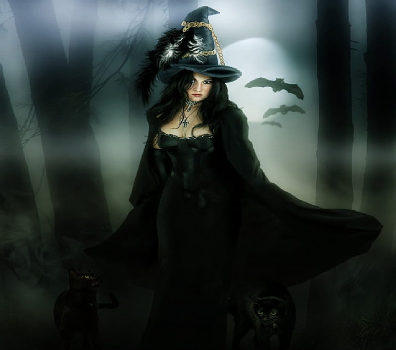 A Witch, witch, moon, bats, trees, black cats, HD wallpaper | Peakpx
