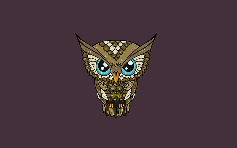 Owl, minimal, cartoon owl, violet background, funny owl, cartoon birds, HD  wallpaper | Peakpx