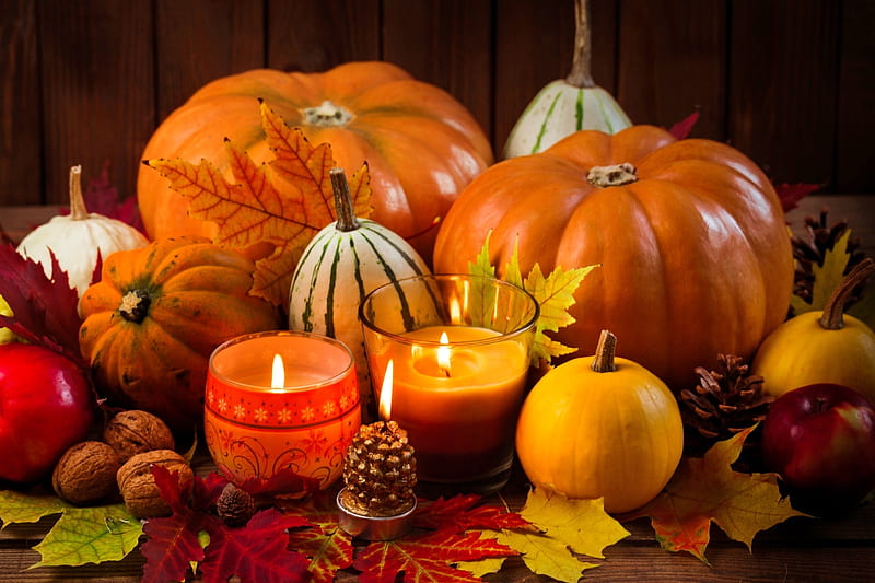 Fall decoration, candle, cone, pretty, fall, autumn, lovely, decoration, home, bonito, foliage, still life, leaves, flame, festive, pumpkins, HD wallpaper