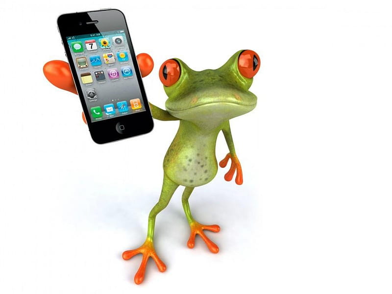 PHONE FOR YOU!!!!!!!!!!!!!!!!!!, FUNNY, PHONE, CELL, FROG, HD wallpaper