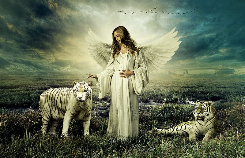 Angel and her Friends, tiger, woman, white, angel, HD wallpaper