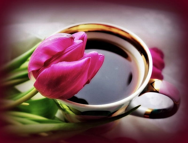Coffee, red, black, spring, abstract, still life, cup, flowers, drink, petals, pink, tulip, porcelain, HD wallpaper