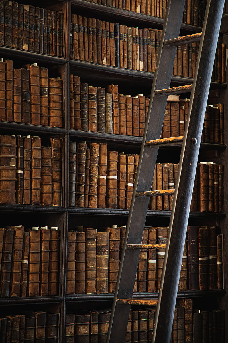 library, books, shelving, ladder, HD phone wallpaper