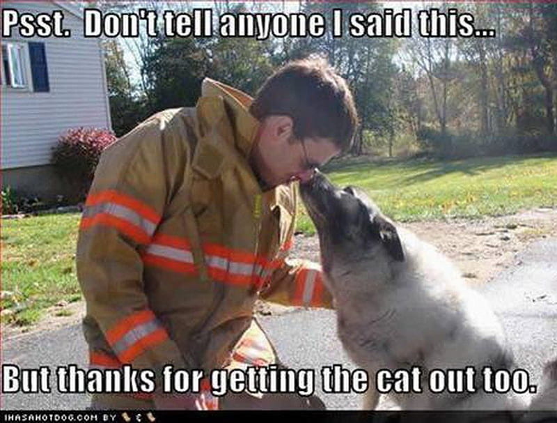 THANK YOU, friend, fireman, thanks, dog, HD wallpaper