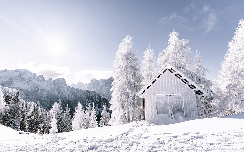 Sunny Mountains Snow Cold Winter Wood House, HD wallpaper