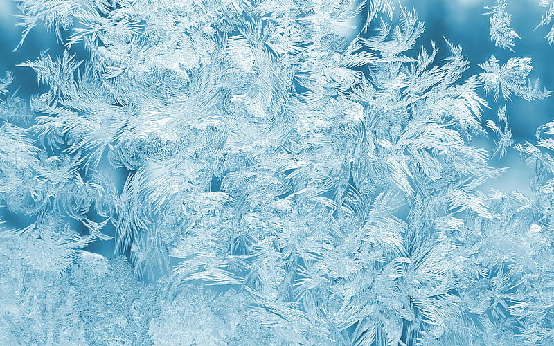 blue ice texture macro, blue ice background, ice, frozen water textures, blue ice, ice textures, HD wallpaper