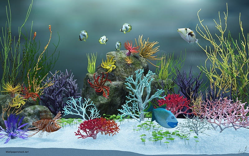 Fantasía submarina, corales, océanos, peces, paisajes acuáticos, mar,  algas, Fondo de pantalla HD | Peakpx