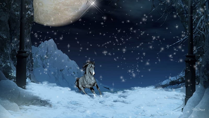 Full Moon Running Horse, skate, prancer, mount, cow pony, foal, quarter horse, pinto, plug, cutting horse, stallion, mustang, filly, dun, sorrel, trotter, hack, palomino, buckskin, black, saddle horse, sky, trees, winter, jade, snow, chestnut, warhorse, pony, courser, bay, colt, dobbin, gelding, bronco, cob, full moon, packhorse, mare, blue, night, hackney, roan, horse, workhorse, equestrian, equid, snowing, racehorse, charger, galloper, skewbald, HD wallpaper