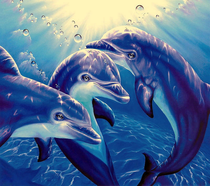 Delfine Underwater, HD wallpaper