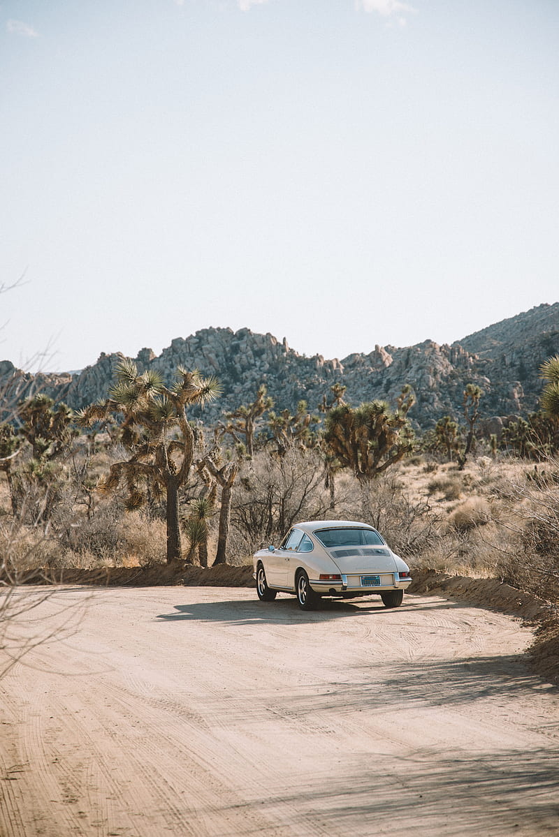 car, white, retro, road, cacti, HD phone wallpaper