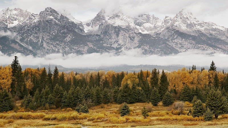 great late autumn landscape, mountain, forest, autumn, fog, HD wallpaper