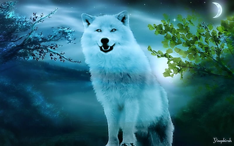 White Wolf, art, wolf, animal, dog, HD wallpaper