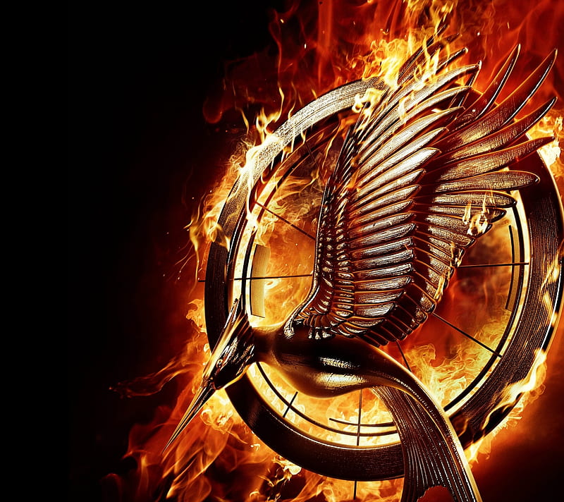 Hunger Games, katniss, HD wallpaper