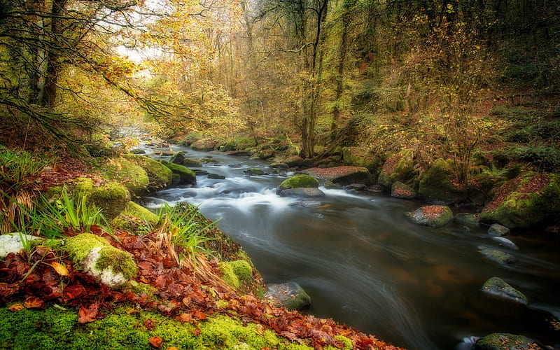 mountain river, autumn landscape, yellow leaves, forest, river, beautiful autumn landscape, HD wallpaper