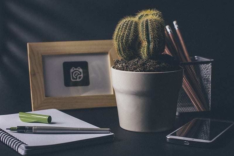 Cactus Phone, White, Pot, Pencil, Notebook, Green, Desk, HD wallpaper