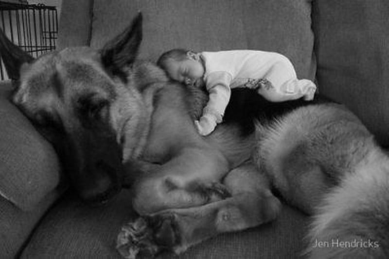 BOY AND HIS DOG, pals, nap, baby, dog, HD wallpaper